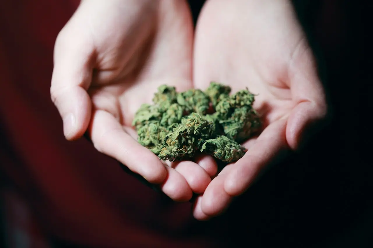 Can You Get Addicted to Marijuana?