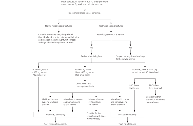 Can Alcohol Cause Macrocytosis