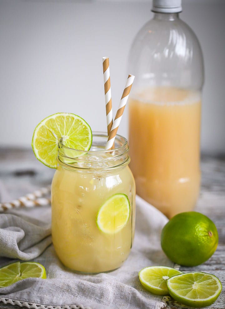 how-to-make-non-alcoholic-ginger-beer-recovery-ranger