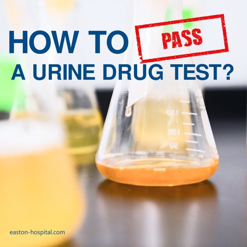 What to Use to Pass a Drug Test? Recovery Ranger