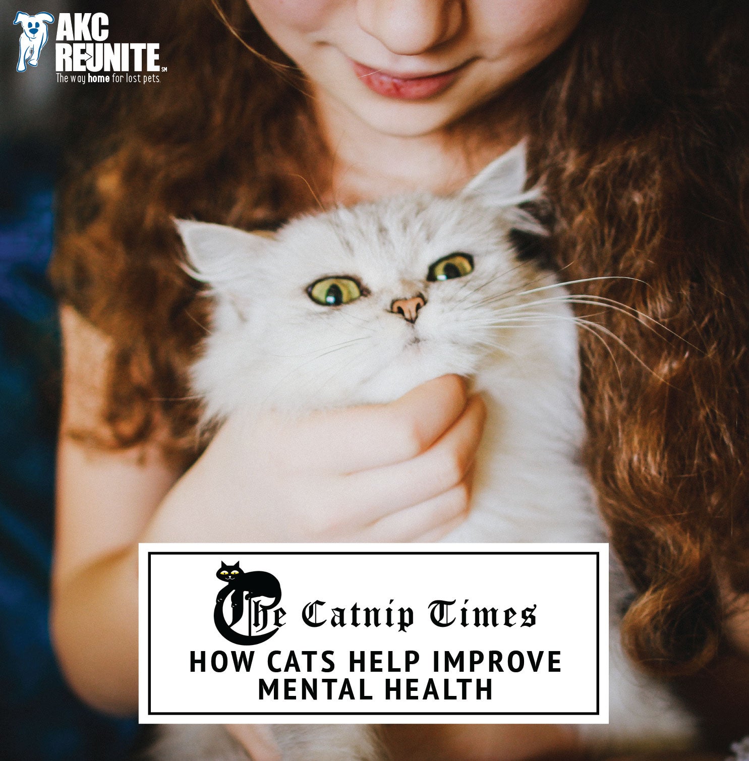 do-cats-help-with-mental-health-recovery-ranger