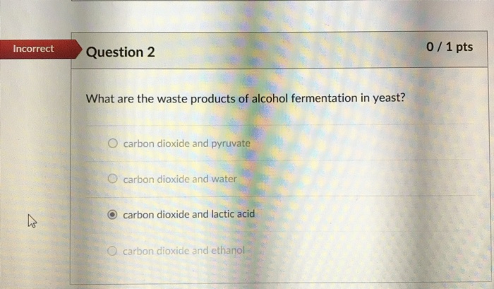 What Are The Waste Products Of Alcoholic Fermentation